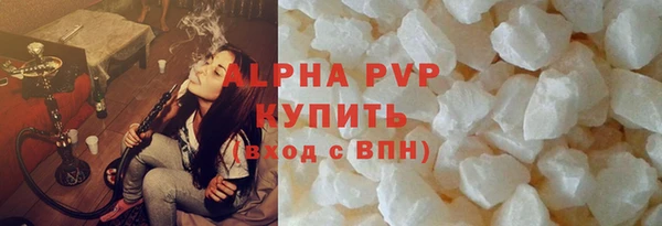 крисы Мегион