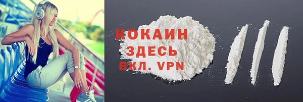 крисы Мегион