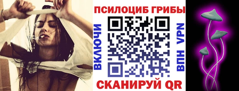 Галлюциногенные грибы ЛСД  Шахунья 