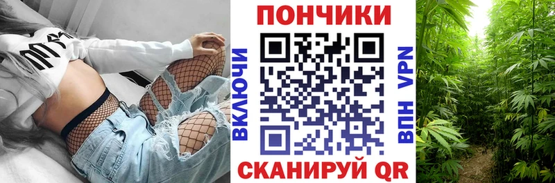 Канабис конопля  Шахунья 